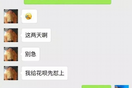 南澳为什么选择专业追讨公司来处理您的债务纠纷？